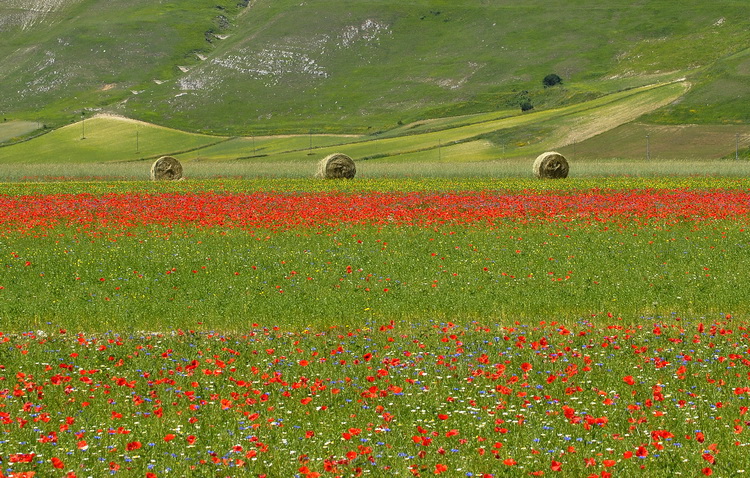 Monti Sibillini